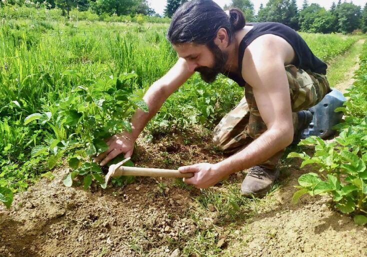 «Ακαδημία Τρύφωνος»
