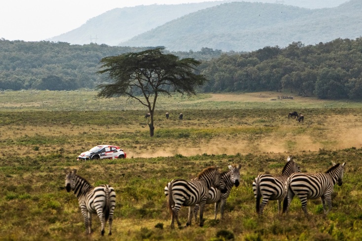 WRC - Ράλλυ Σαφάρι Κένυα: Νικητής ο Sebastien Ogier - Η Toyota Gazoo Racing κέρδισε τον αγνώνα με 1-2-3-4