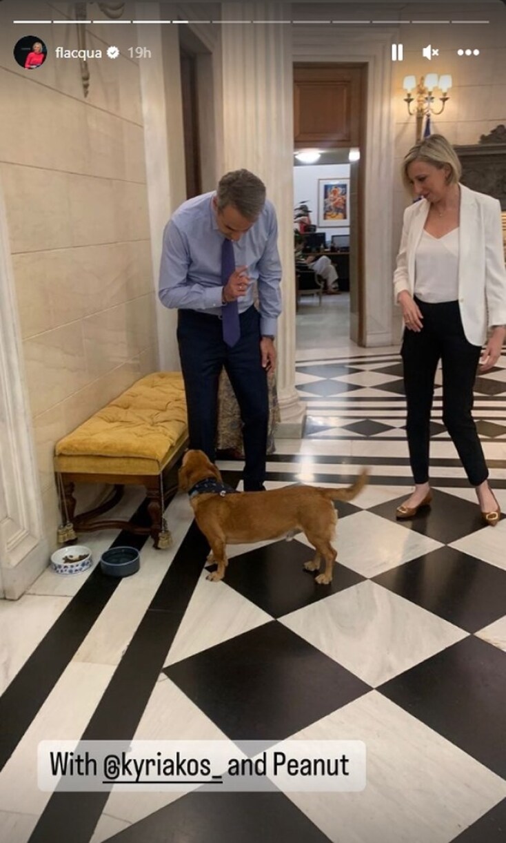 Ο Πίνατ έκλεψε την παράσταση στο περιθώριο της συνέντευξης Μητσοτάκη στο Bloomberg