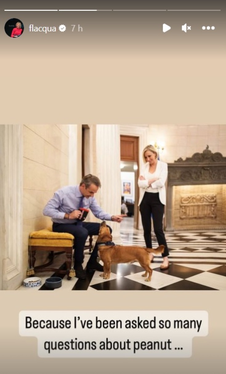 Ο Πίνατ έκλεψε την παράσταση στο περιθώριο της συνέντευξης Μητσοτάκη στο Bloomberg