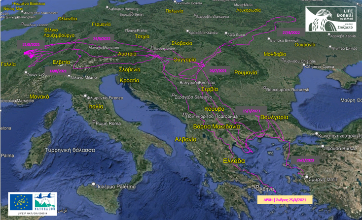 Ένας πολυταξιδευμένος σπιζαετός: Ο «Βάιος» από την Άνδρο έχει επισκεφθεί 21 χώρες