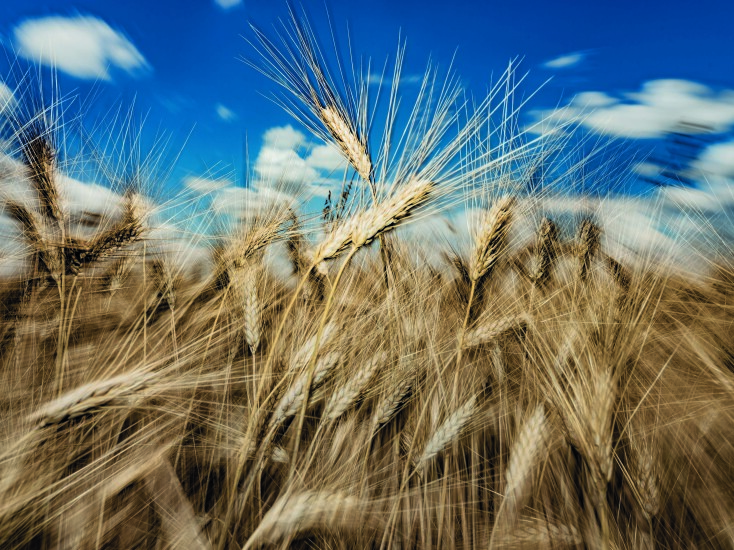 Melissa: Ο φωτογράφος Τάσος Βρεττός μας ταξιδεύει μέσα από το φακό του στην ιστορία της αγαπημένης μάρκας