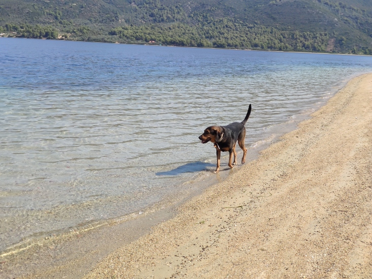 Mάνος Βουλαρίνος