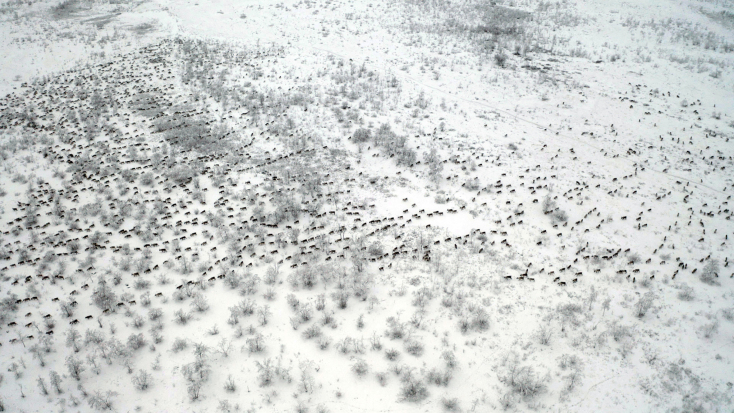 "Radji" των Georg Götmark και John Erling Utsi