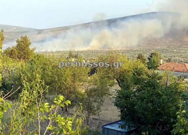 Φωτιά στον Πρόδρομο Βοιωτίας - Εστάλη μήνυμα από το 112