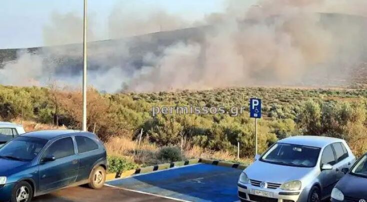 Φωτιά στον Πρόδρομο Βοιωτίας - Εστάλη μήνυμα από το 112