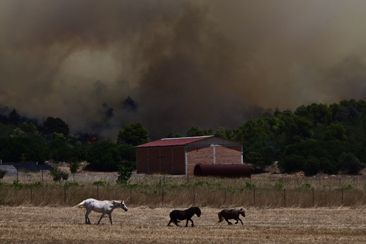 Δείτε βίντεο: Αστυνομικοί προσπαθούν να πείσουν μοναχές να εκκενώσουν μοναστήρι