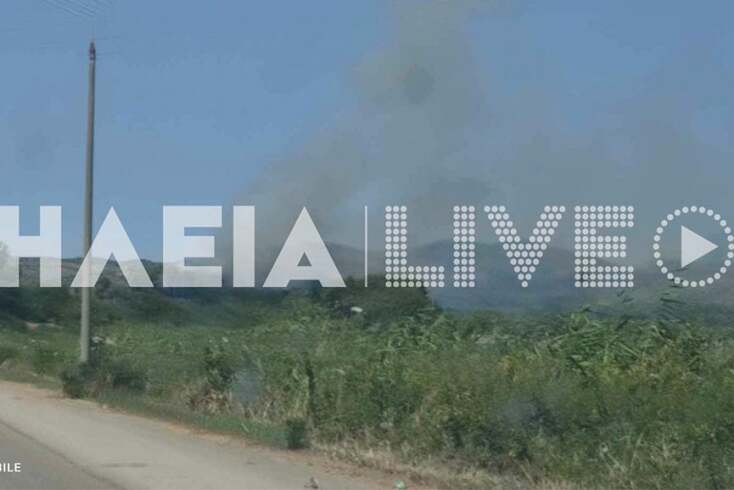 Καλύτερη εικόνα από τα πύρινα μέτωπα σε Ηράκλεια Ηλείας και Λαφιώνα Λέσβου