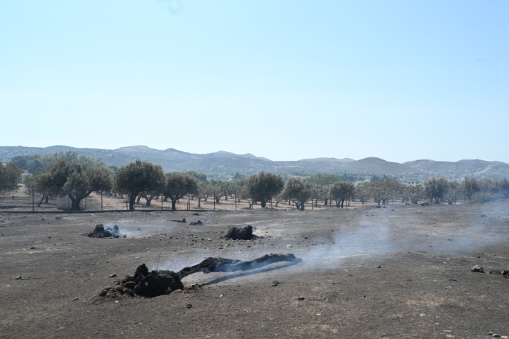 Σχεδόν 35.000 στρέμματα έγιναν στάχτη από την πυρκαγιά στον Κουβαρά