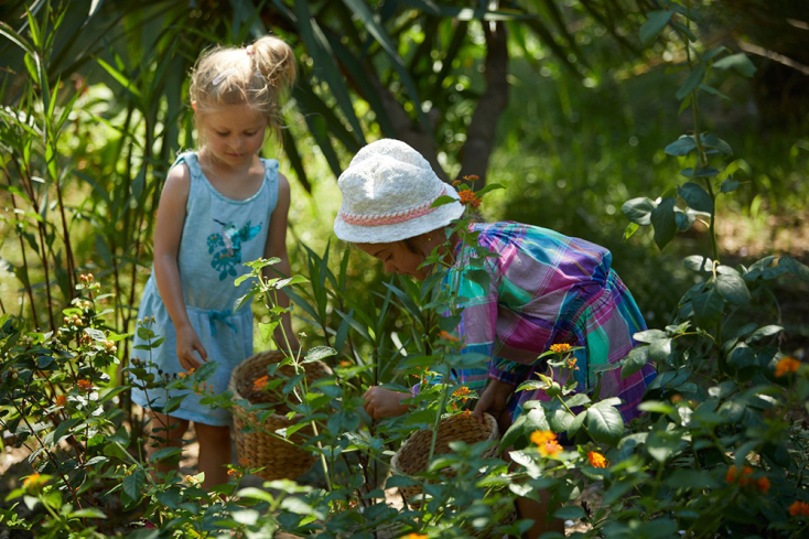 Makryammos bungalows