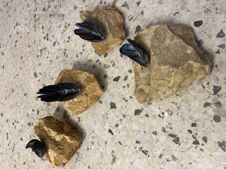 «Contemporary Womanhood1.0: σύγχρονες θηλυκότητες»: το έργο της Δέσποινας Χαριτωνίδη, "The space between us"