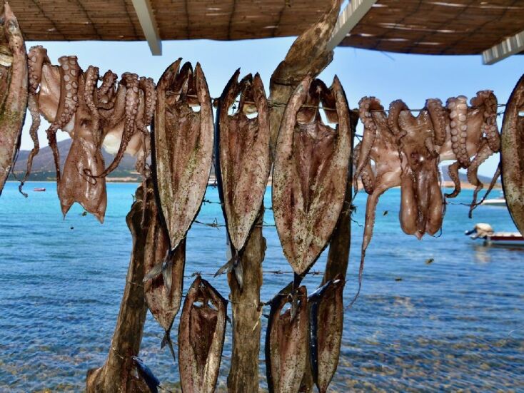 Η Πάρος «από μέσα» στο καινούργιο βιβλίο του Γιώργου Πίττα