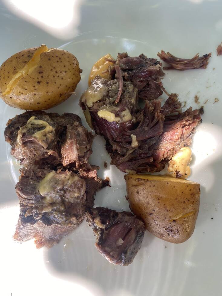 Αγριοκάτσικο 