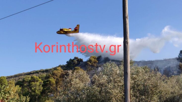 Βελτιωμένη η εικόνα στην Ηλεία - Μαίνεται η φωτιά στον Γράμμο