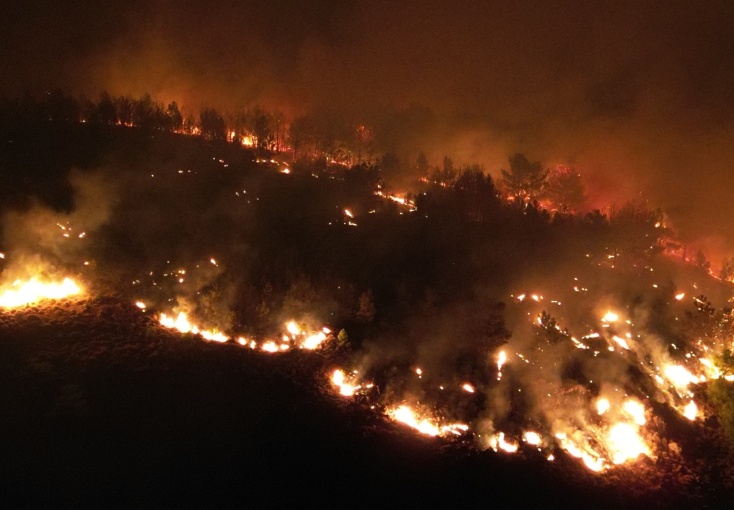 Φωτιά έκαψε δασική έκταση στη Χίο