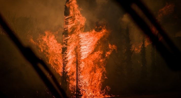 Πυρκαγιές - Εθνικό Αστεροσκοπείο Αθηνών: Φέτος μέχρι τον Ιούλιο κάηκαν κατά 30% περισσότερες εκτάσεις από τον ετήσιο μέσο όρο.