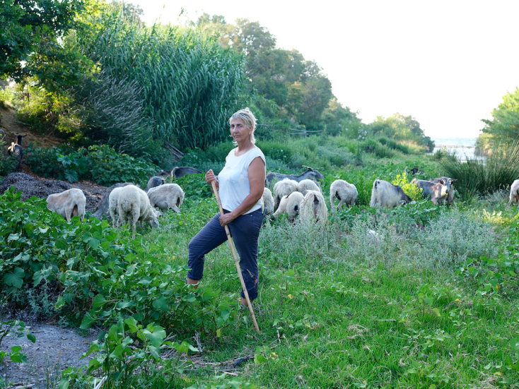 Γιώργος Σαλαμέ, "Βοσκοπούλα", 2023