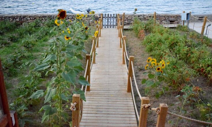 O Benetos στα Σάψιλα