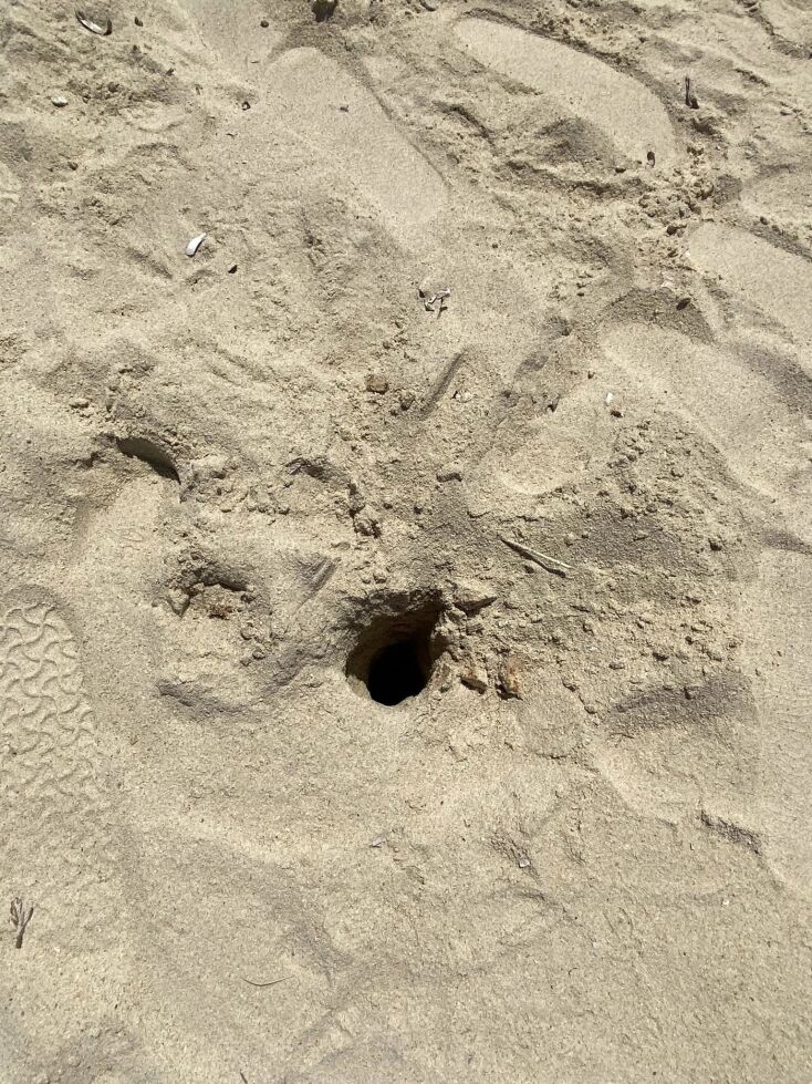 Άλλαξε η εικόνα στην Πλάκα της Νάξου: Μάζεψαν τη νύχτα ξαπλώστρες και ομπρέλες