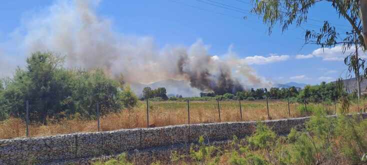 Φωτιά στον Μαραθώνα κοντά σε σπίτια