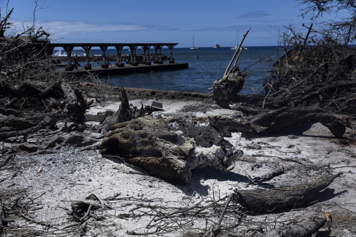 Βροχή επικρίσεων για τη διαχείριση της τεράστιας καταστροφής που έπληξε τη Χαβάη