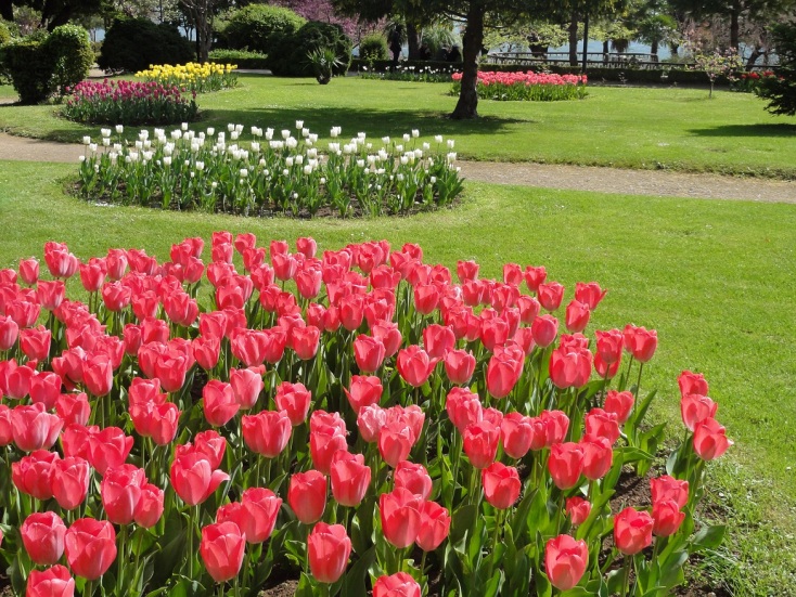 Νάουσα: Διαγωνισμός για την αναβάθμιση και ανάδειξη του ιστορικού πάρκου της περιοχής, ύψους 1,6 εκατ. ευρώ - Οι αρχιτεκτονικές παρεμβάσεις που σχεδιάζονται.