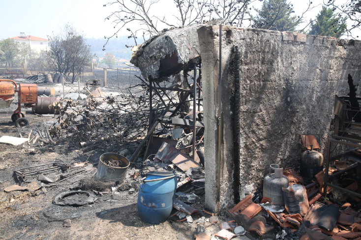 Φωτιά στην Αλεξανδρούπολη