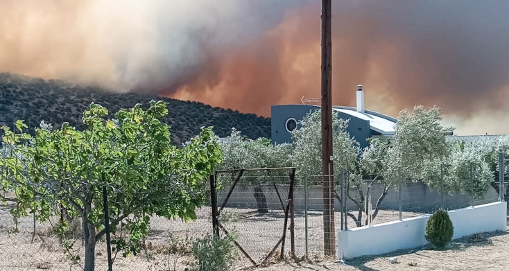 Πυρκαγιά στον Πρόδρομο Βοιωτίας: Νέο μέτωπο απειλεί οικισμούς - Οι ριπές των ανέμων φτάνουν τα 8 μποφόρ και οι αναζωπυρώσεις είναι συνεχείς.