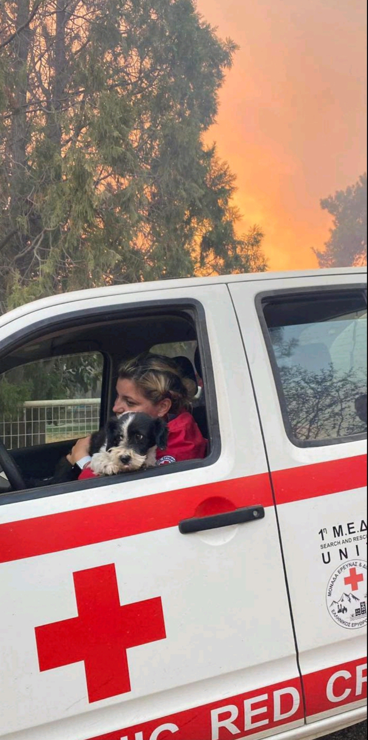 Οι εθελοντές του Ελληνικού Ερυθρού Σταυρού στις πυρόπληκτες περιοχές