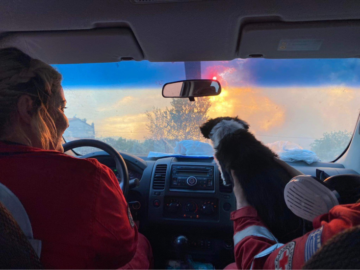 Οι εθελοντές του Ελληνικού Ερυθρού Σταυρού στις πυρόπληκτες περιοχές