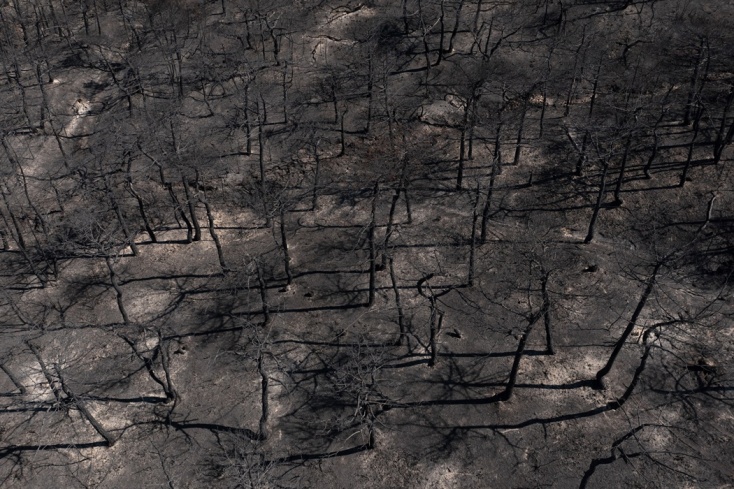 Φωτιά στη Δαδιά