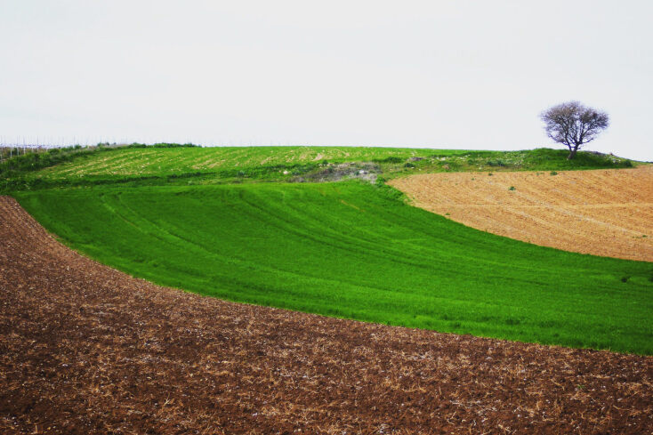 29-schiza-new-ifocus