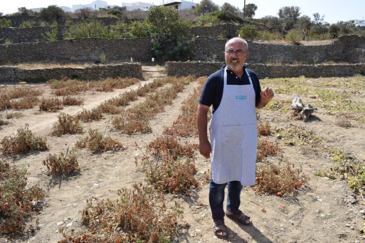 Γιώργος Ναρλής