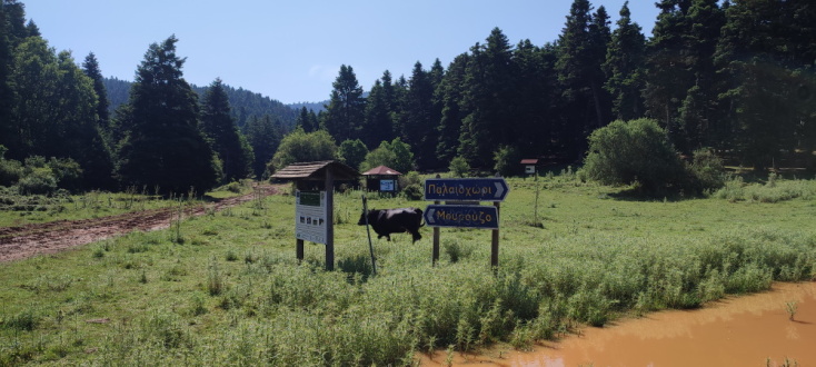 67ο Ράλλυ Ακρόπολις: Κάναμε τη διαδρομή δύο μήνες πριν τον μεγάλο αγώνα.
