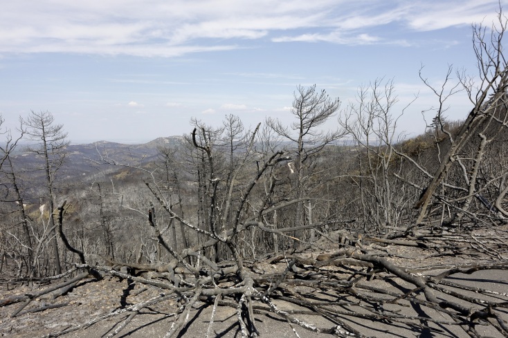 Φωτιά στον Έβρο: To aerial video από το οδοιπορικό του φωτογράφου Σάκη Γιούμπαση στις καμένες εκτάσεις.