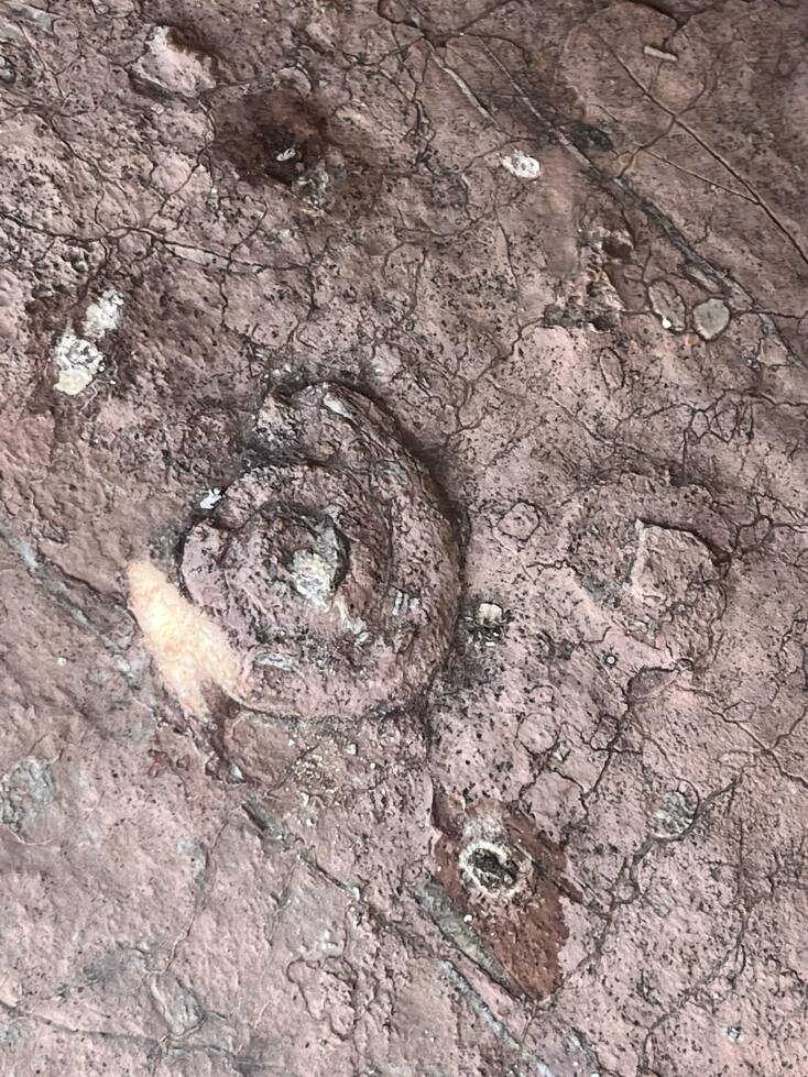 Χίος: Θέλει να ενταχθεί στο δίκτυο των 195 παγκοσμίων γεωπάρκων της UNESCO - Η γεωλογική κληρονομιά και η ιδιαίτερη μορφολογία της.