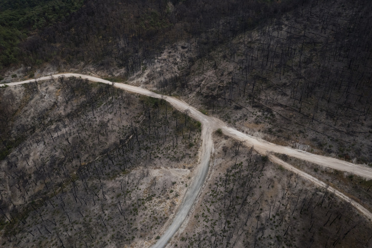 Η φωτιά έσβησε, οι πληγές στον Έβρο μένουν