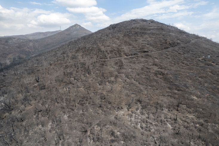 Η φωτιά έσβησε, οι πληγές στον Έβρο μένουν