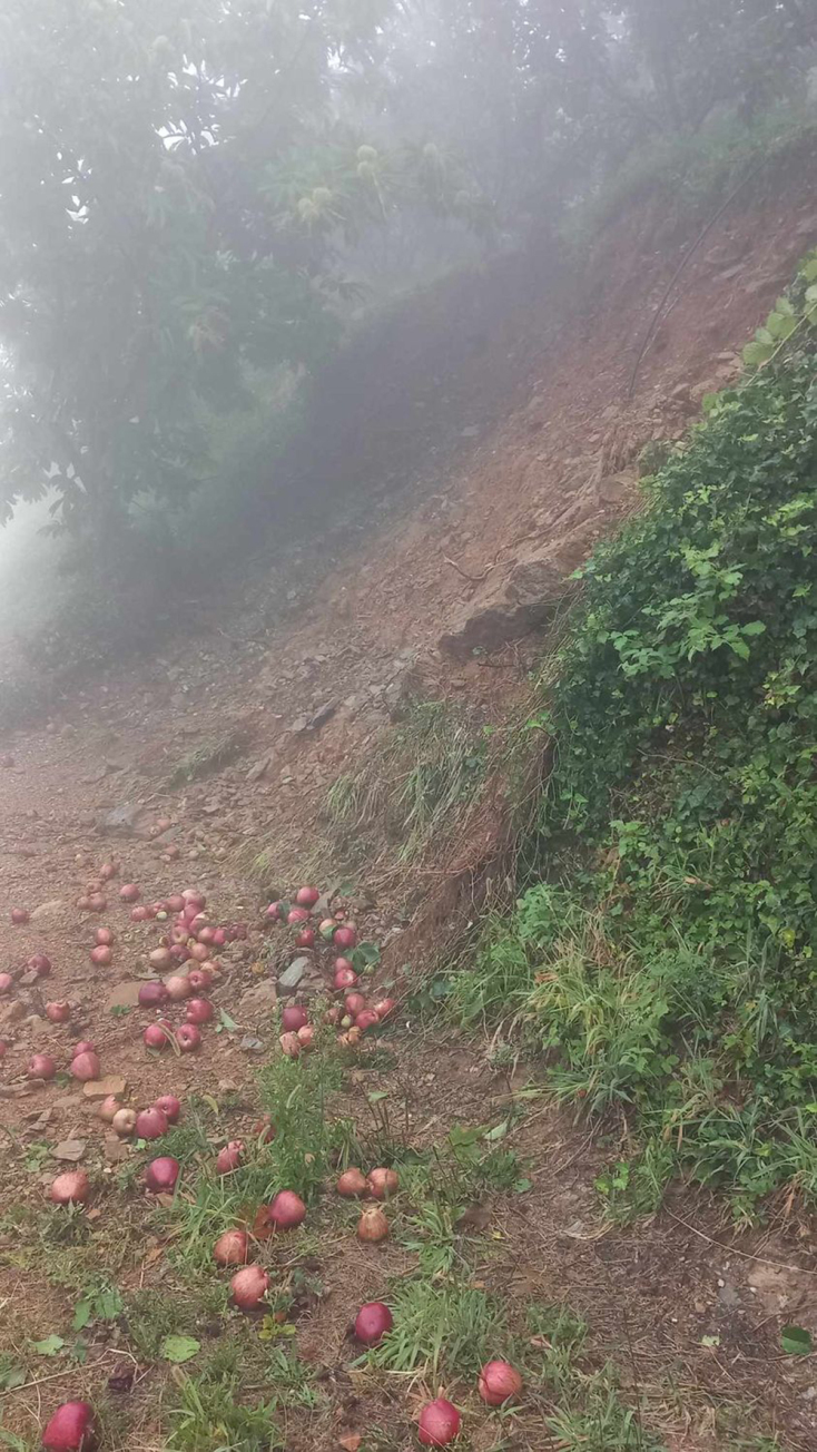 Κακοκαιρία Daniel: Η Μαρία Μαυρικάκη γράφει για τη Ζαγορά