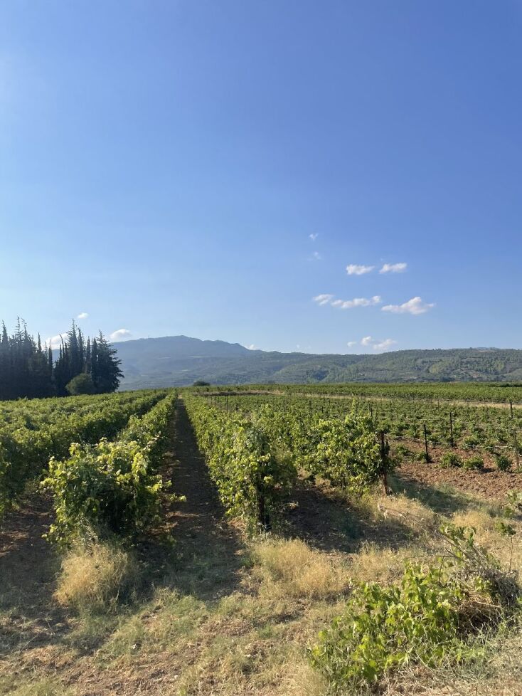 Μεγάλες Μέρες Νεμέας