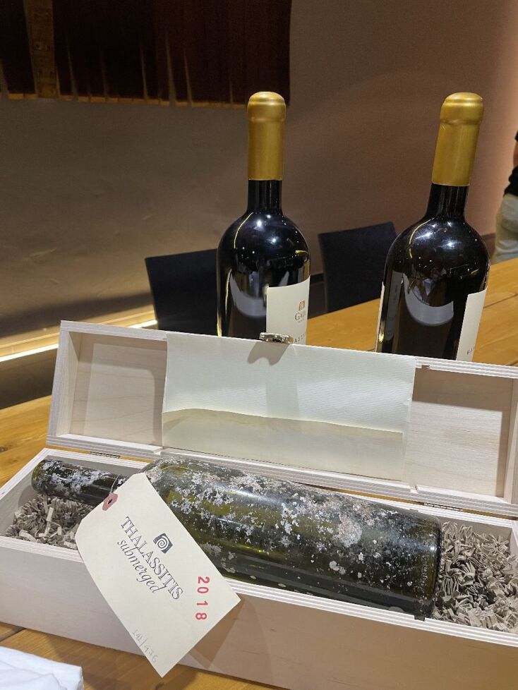 Θαλασσίτης 