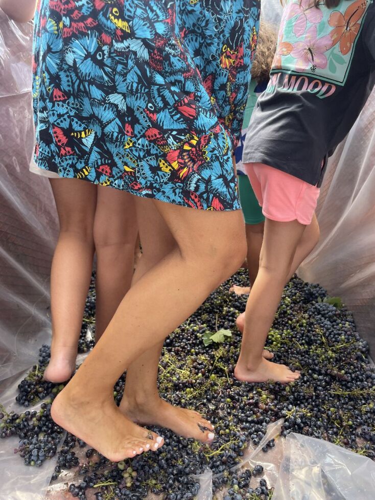 Μεγάλες Μέρες Νεμέας