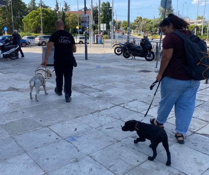 Liberty Guide Dogs