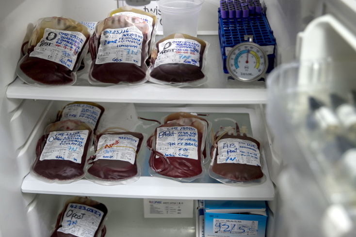 Πρότζεκτ Aθανασία: Μεταγγίσεις πλάσματος νέων σε δισεκατομμυριούχους της Σίλικον Βάλεϊ και η επιστημονική κούρσα για την αποτροπή της βιολογικής γήρανσης.