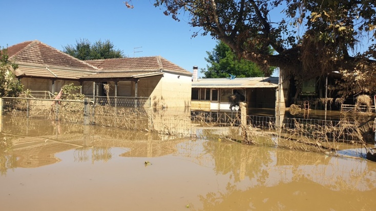 Πλημμυρισμένα σπίτια, δρόμοι και νεκρά ζώα που επιπλέουν στη Μεταμόρφωση Καρδίτσας