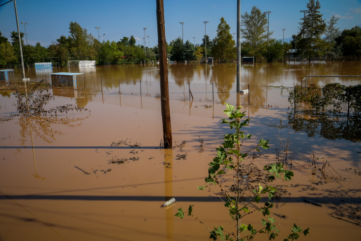 Νέα Σμύρνη Λάρισας