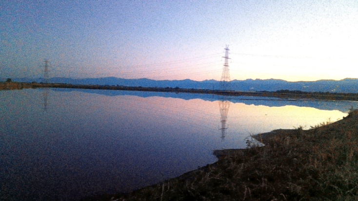 Η Νυκτωδία του Βάλτου
