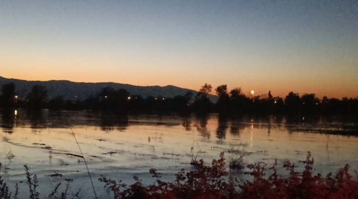 Η Νυκτωδία του Βάλτου