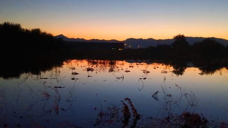 Η Νυκτωδία του Βάλτου