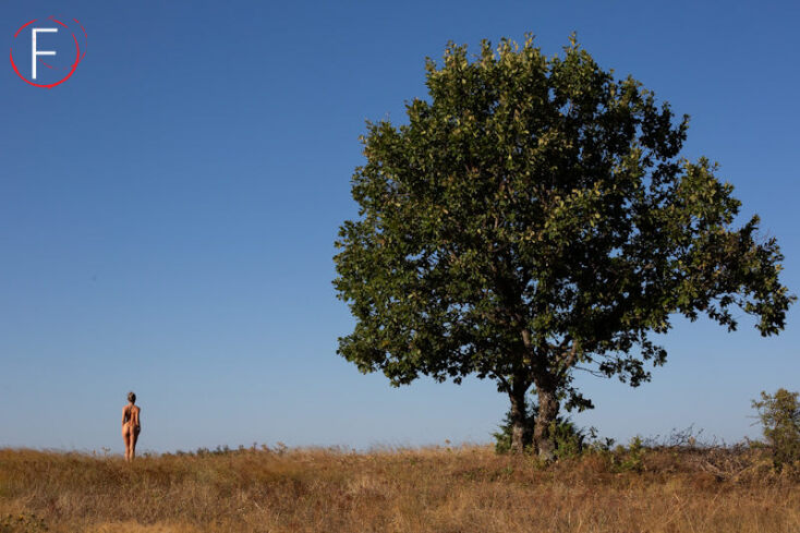 diagonismos05-constantinos-dendrinos-05-ifocus